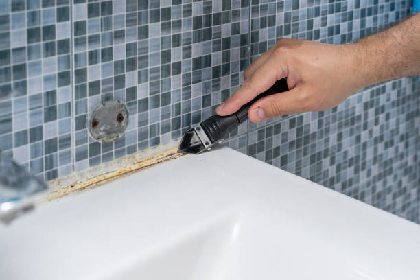 Best Mold Testing and Inspection Services in Woodland Heights, PA